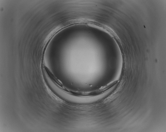 X0000073700946200608171109