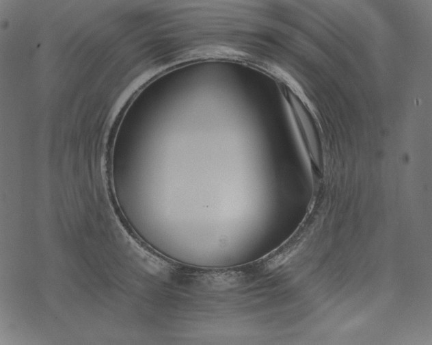 X0000073700947200608171109