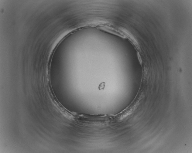 X0000073700948200608171109