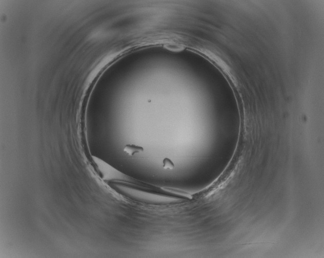 X0000073700949200608171109