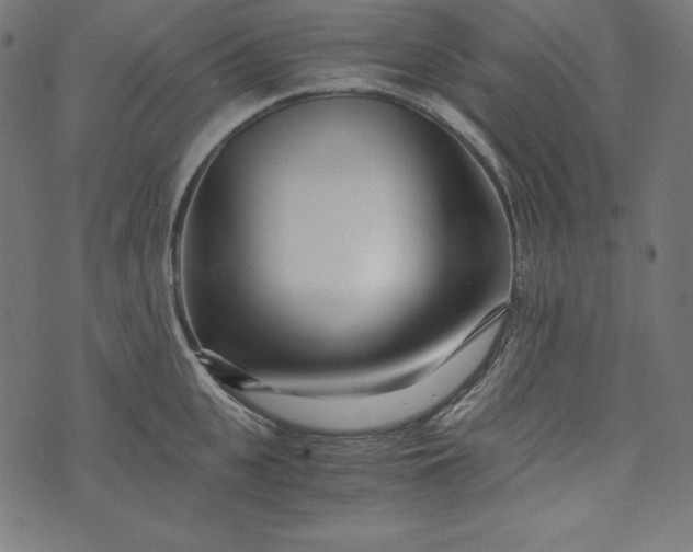 X0000073700951200608171109