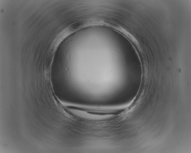 X0000073700953200608171110