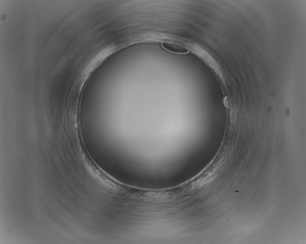 X0000073700954200608171110