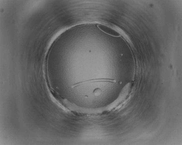 X0000073700958200608171110