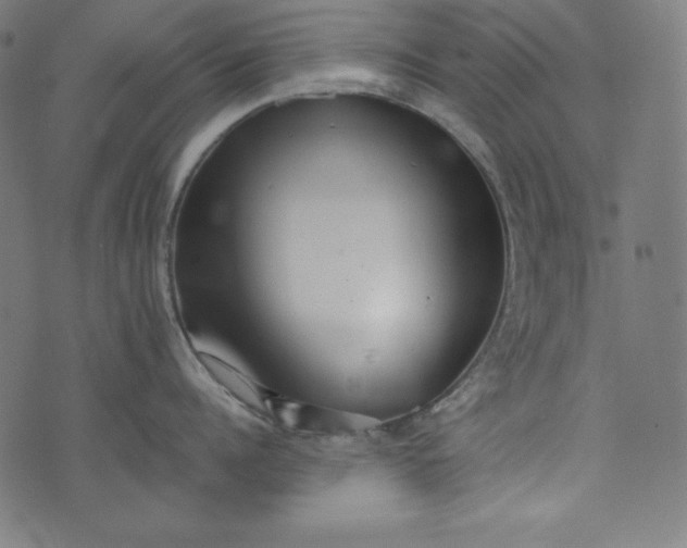 X0000073700960200608171110