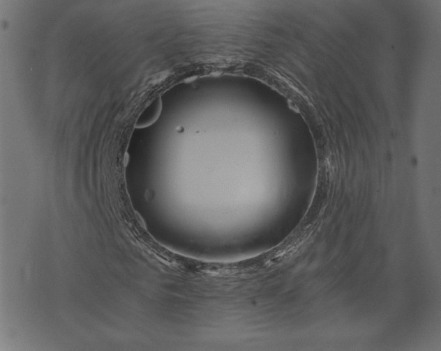 X0000073700961200608171109