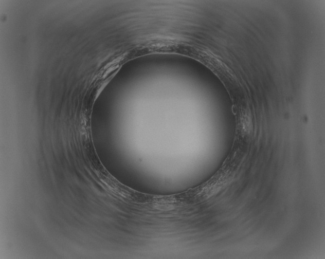 X0000073700964200608171109