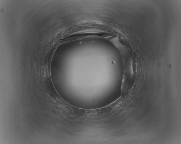 X0000073700965200608171109