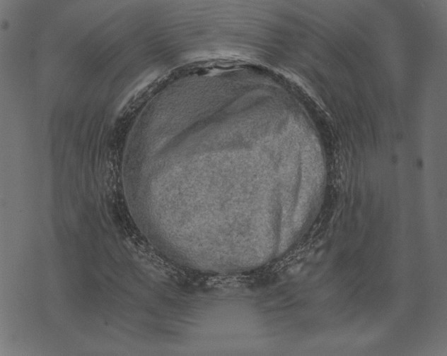 X0000073700967200608171109