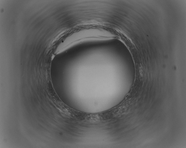 X0000073700968200608171109