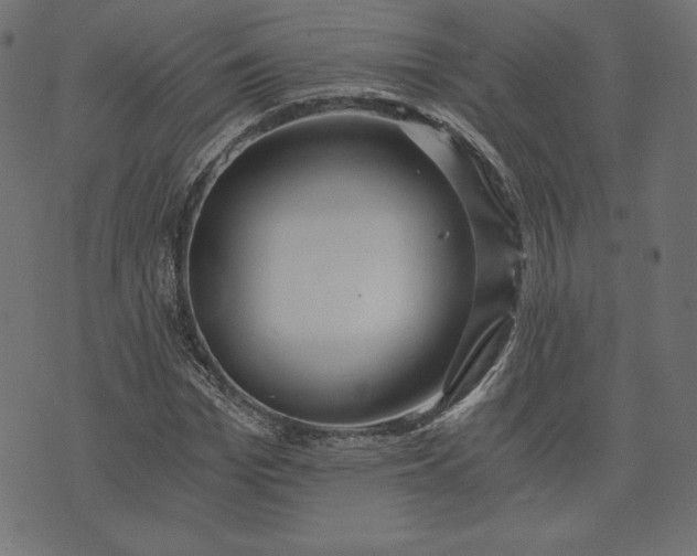 X0000073700969200608171109