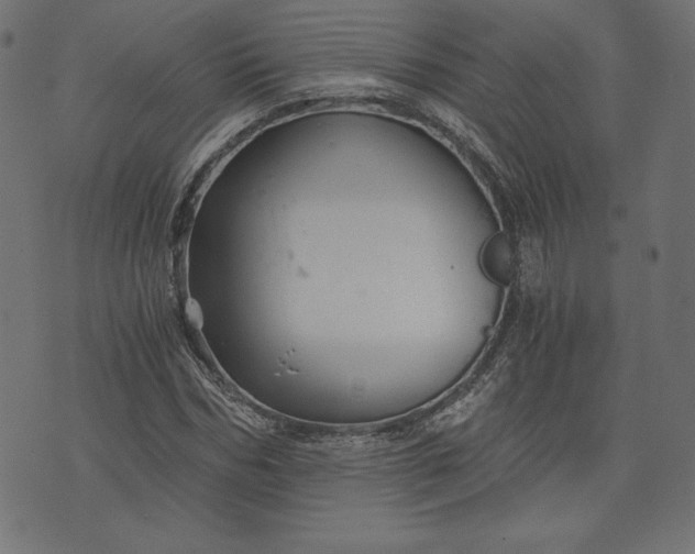 X0000073700970200608171109