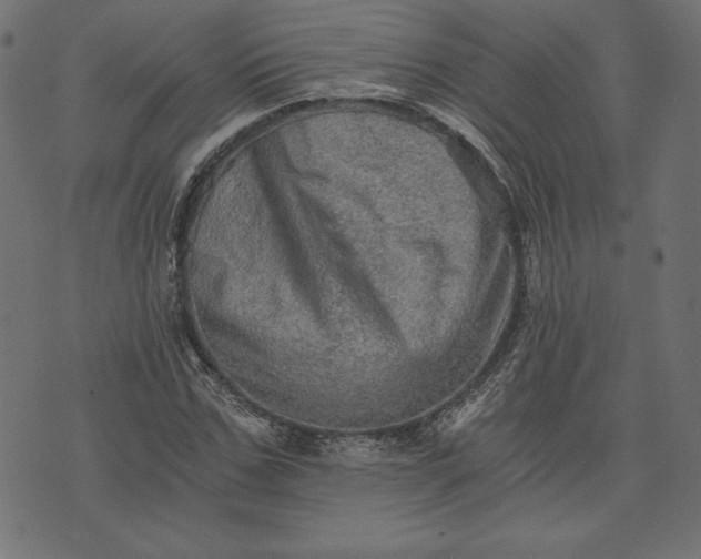 X0000073700971200608171109