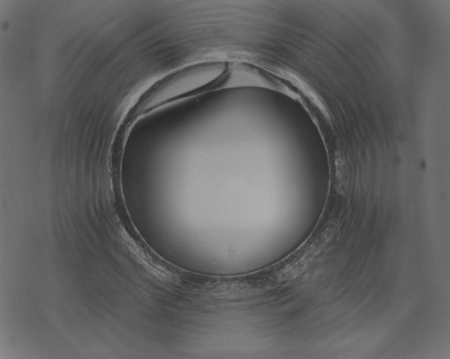 X0000073700972200608171109