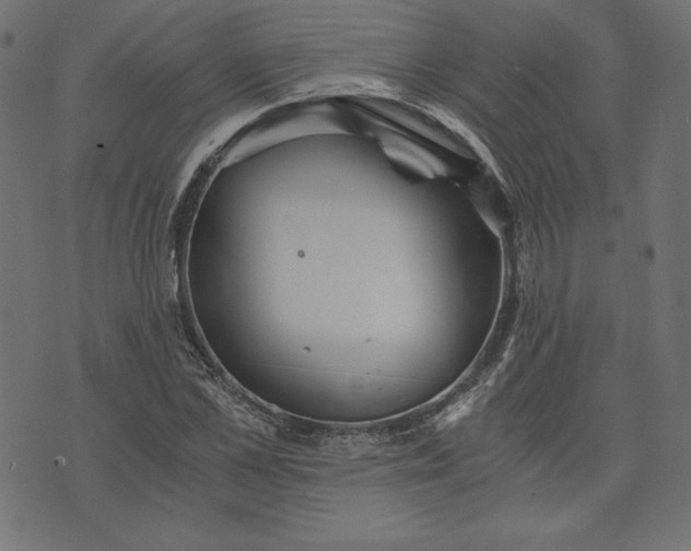 X0000073700973200608171109