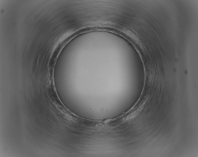 X0000073700974200608171109