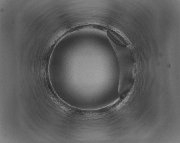 X0000073700977200608171109