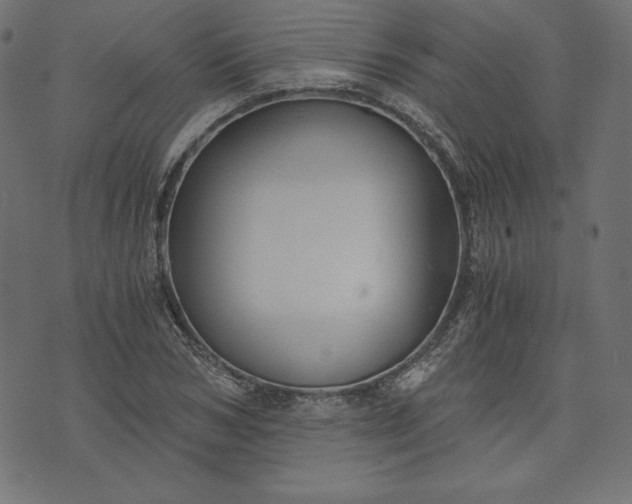 X0000073700978200608171109