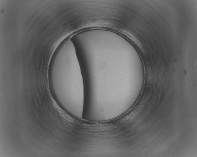 X0000073700980200608171109