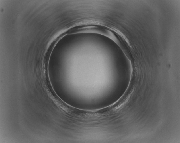 X0000073700981200608171109