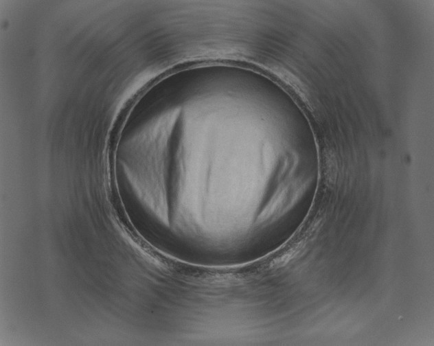 X0000073700982200608171109