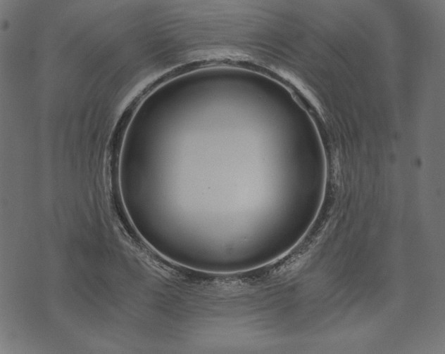 X0000073700983200608171108