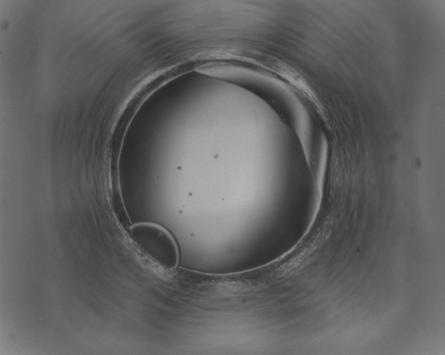 X0000073700984200608171108