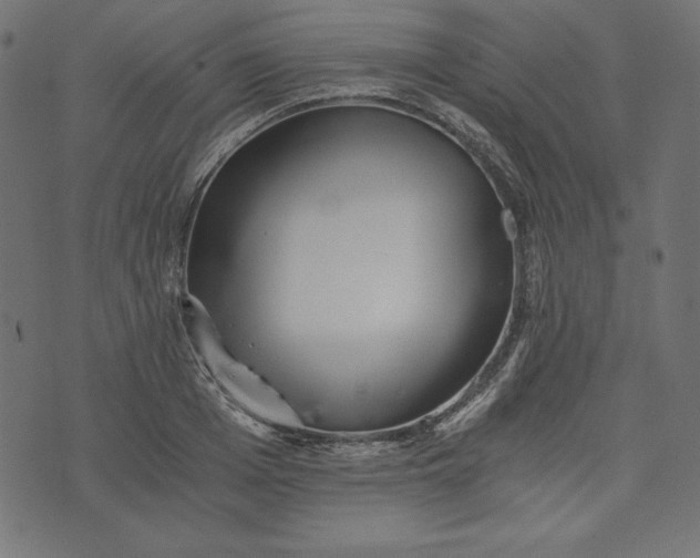 X0000073700985200608171108