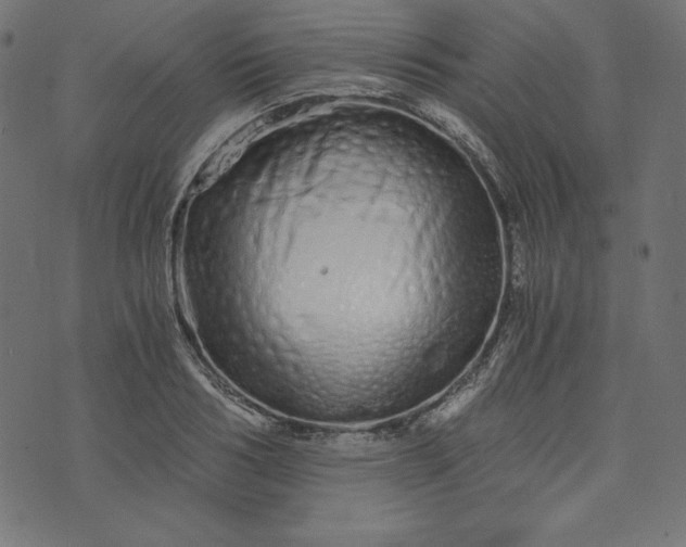 X0000073700986200608171108