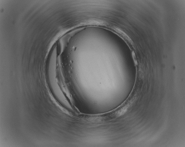 X0000073700989200608171108