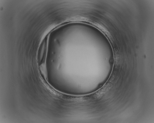 X0000073700990200608171108