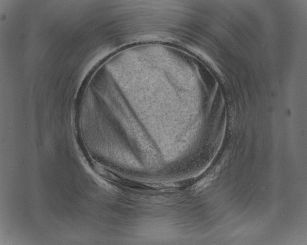 X0000073700991200608171108