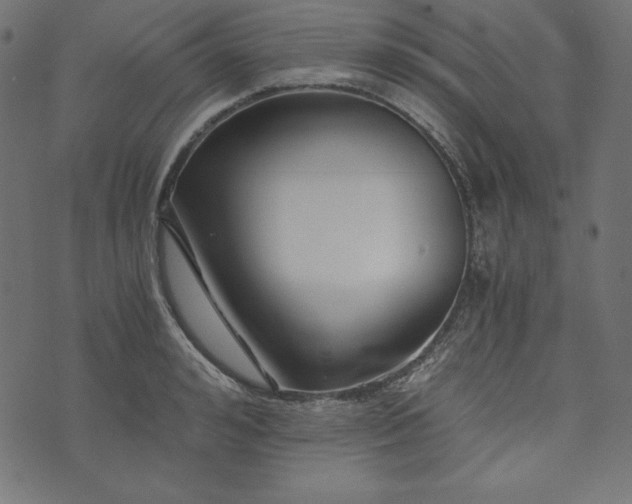 X0000073700992200608171108