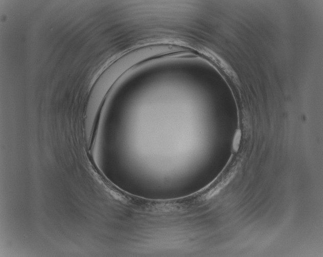 X0000073700993200608171108