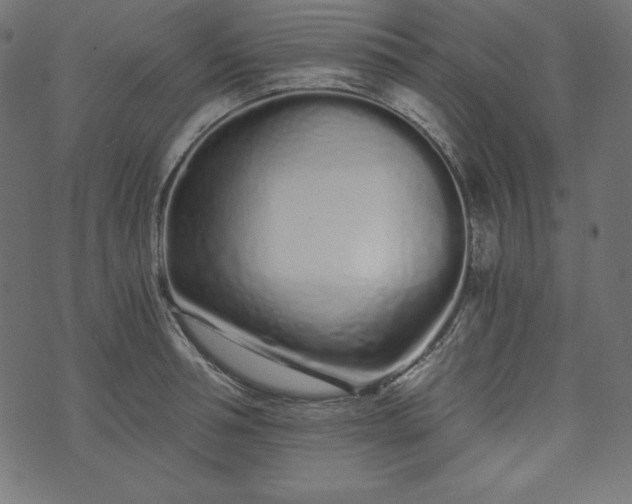 X0000073700994200608171108