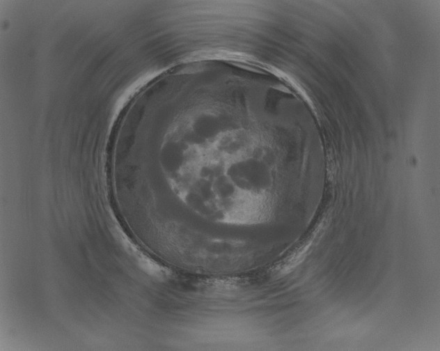 X0000073700995200608171108