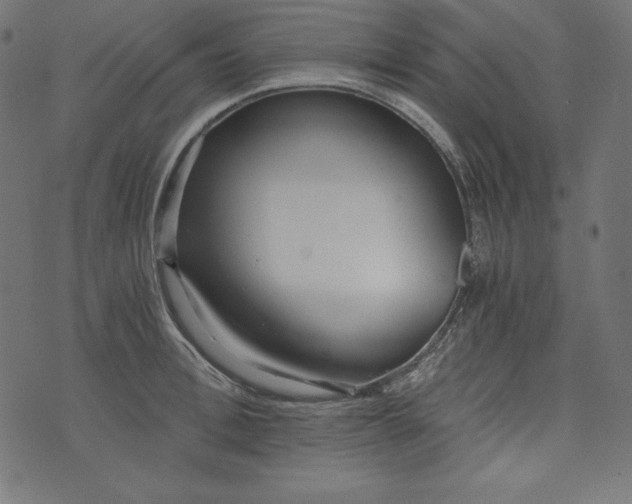 X0000073700996200608171108