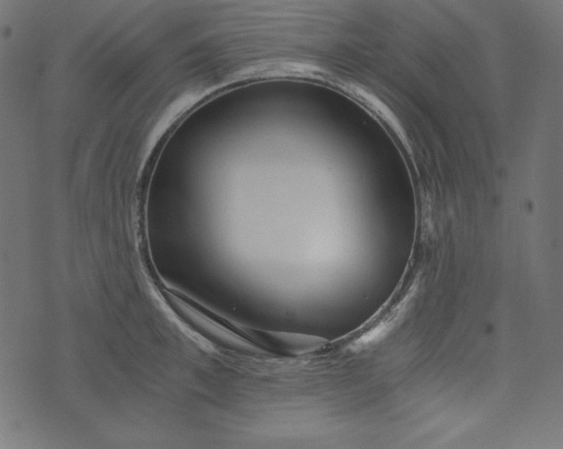 X0000073700997200608171108