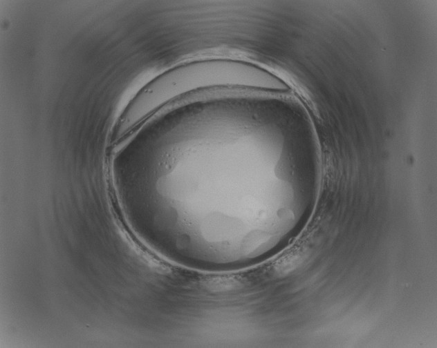 X0000073700998200608171108