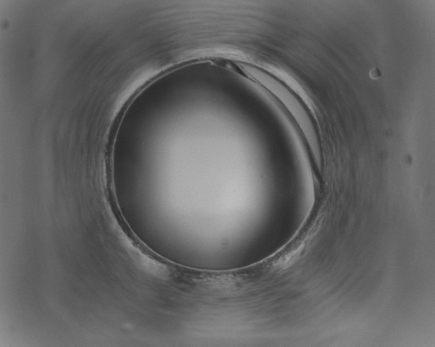 X0000073700999200608171108