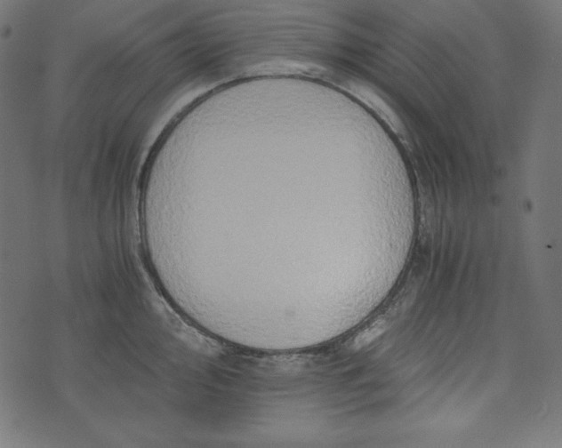 X0000073701000200608171108