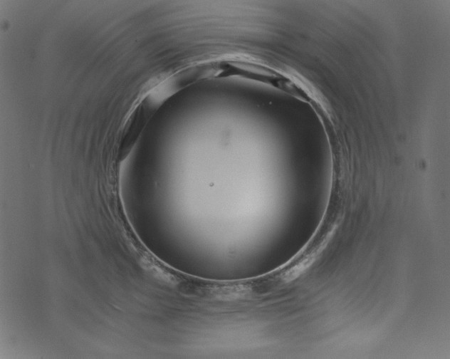 X0000073701001200608171108