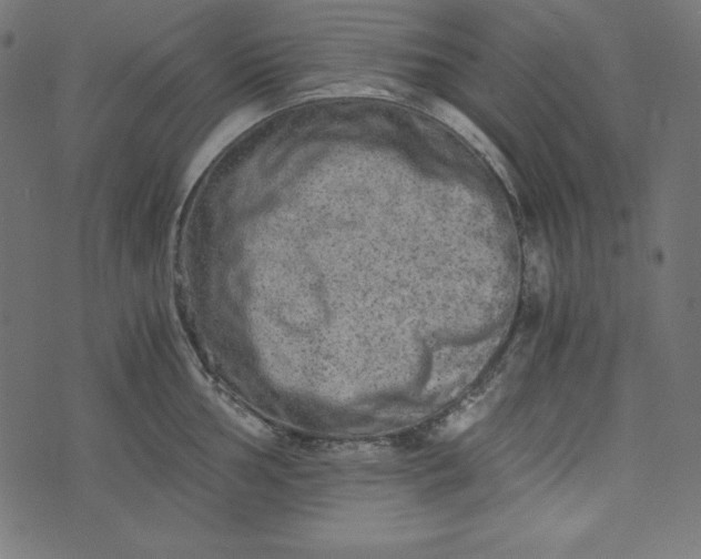 X0000073701002200608171108