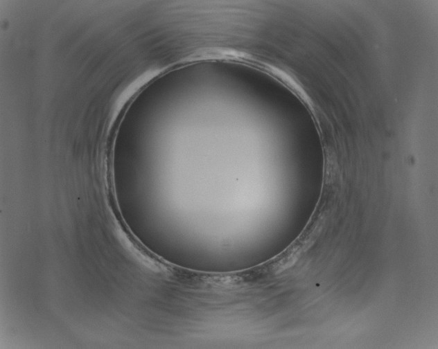 X0000073701003200608171108