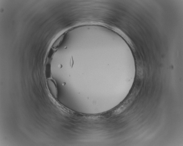 X0000073701004200608171108