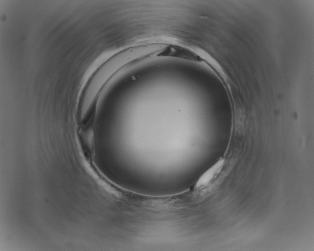 X0000073701005200608171108