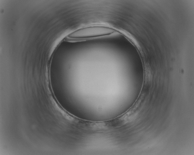 X0000073701006200608171108