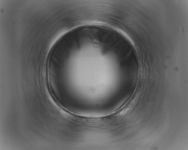 X0000073701007200608171108