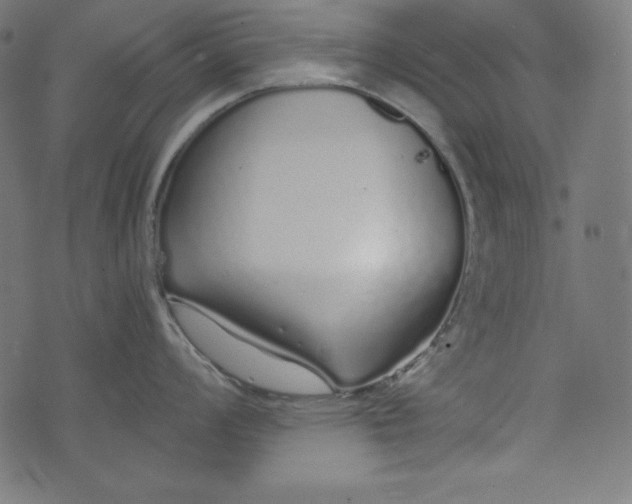 X0000073701008200608171108