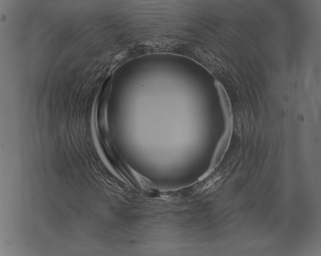 X0000073701010200608171107